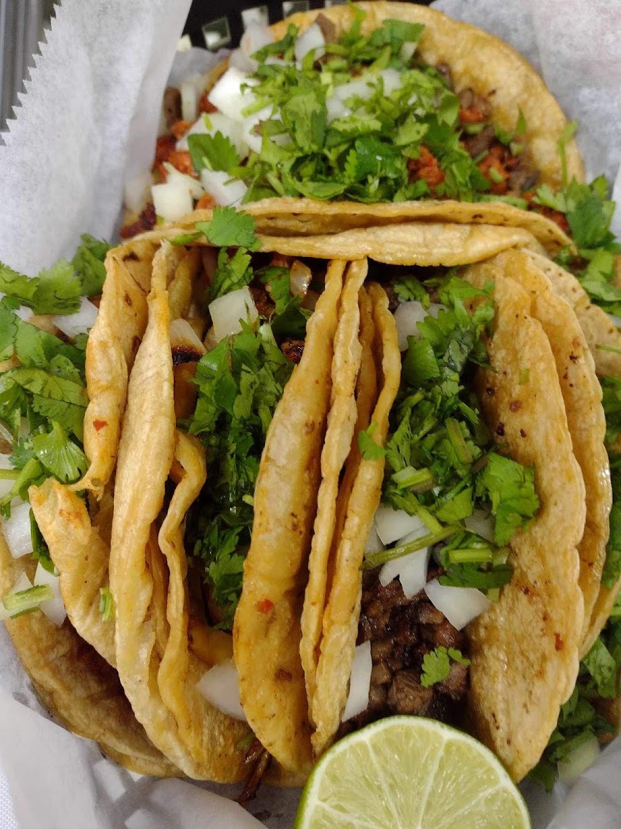 Banner Taqueria Los 3 Camachos 02